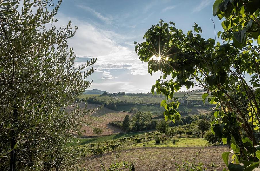 Cella Monte B&B Carletto المظهر الخارجي الصورة