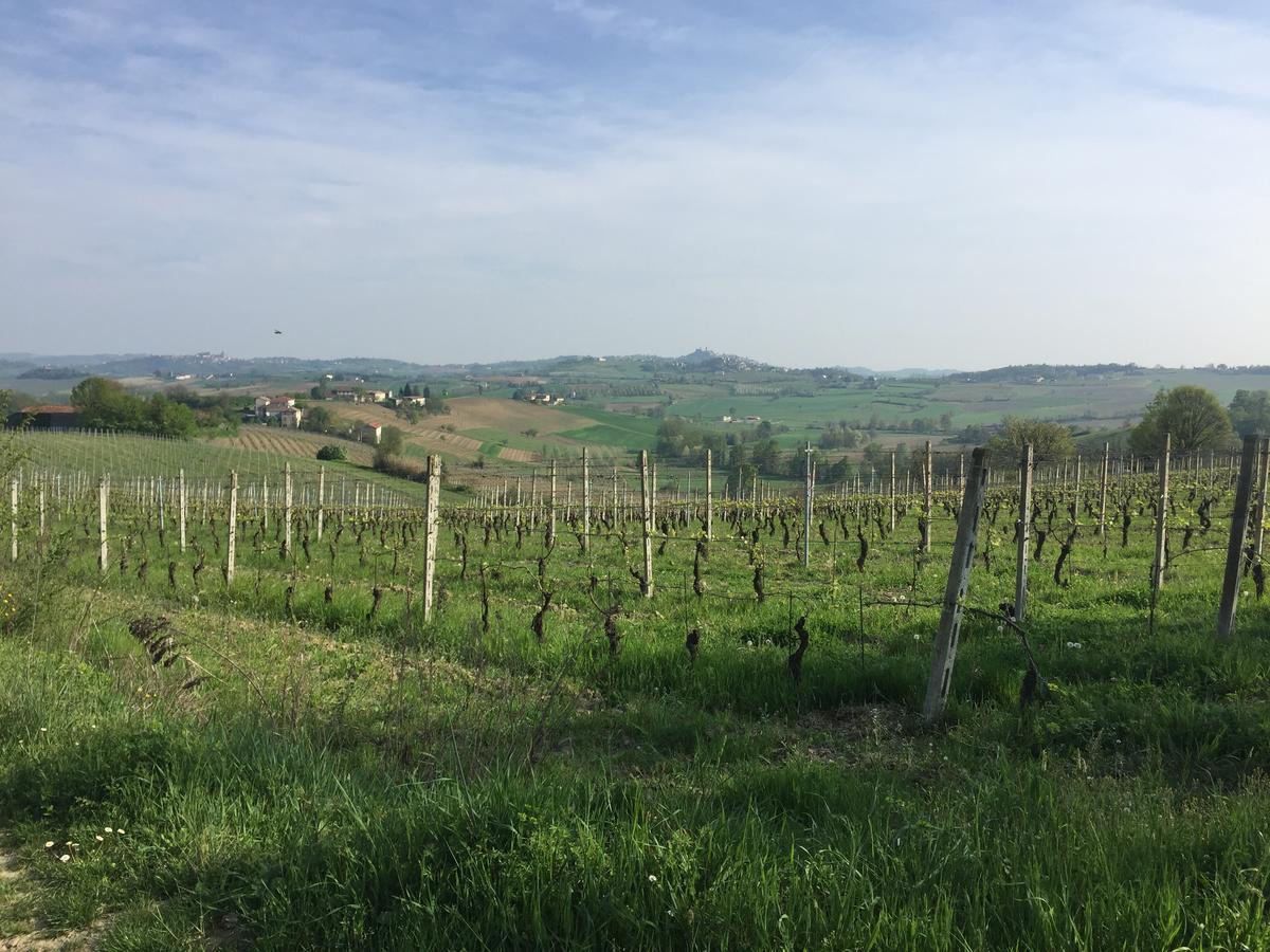 Cella Monte B&B Carletto المظهر الخارجي الصورة